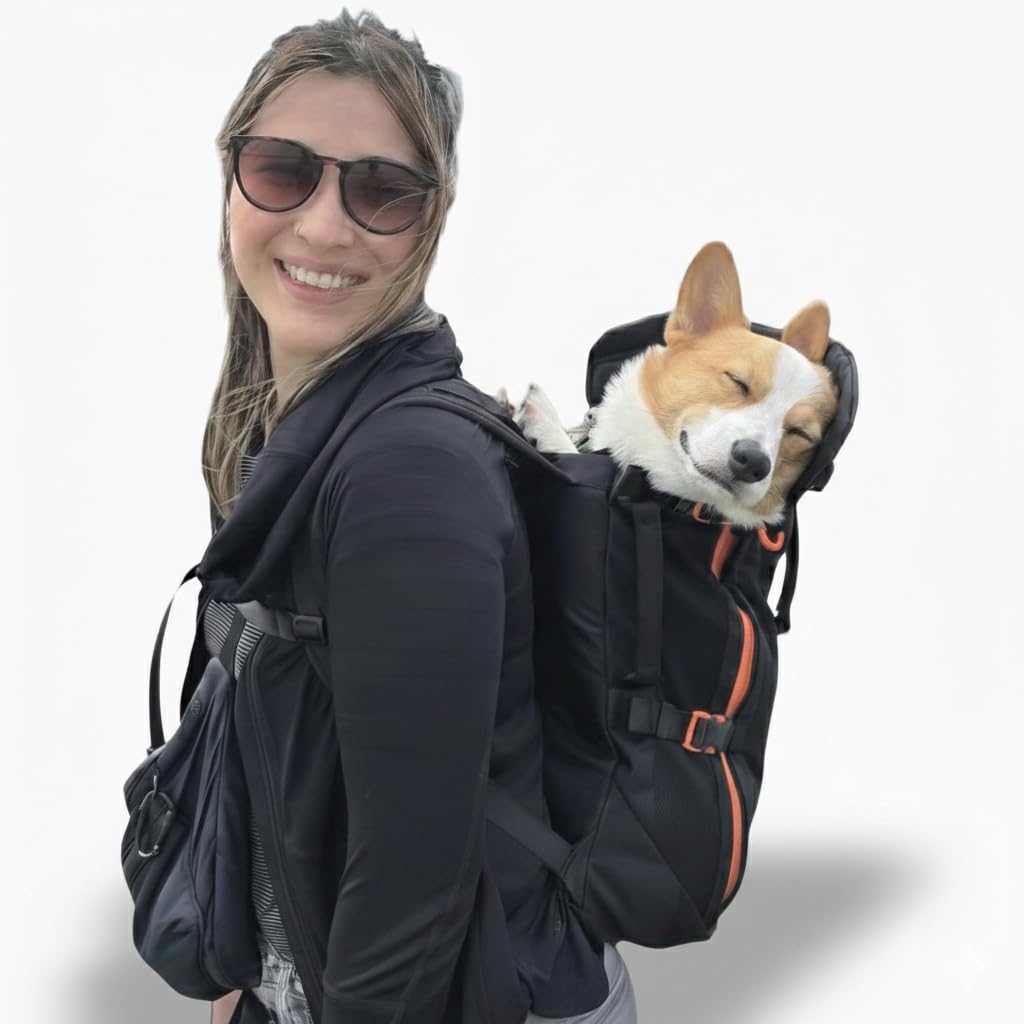 Dog Backpack Carrier J1380