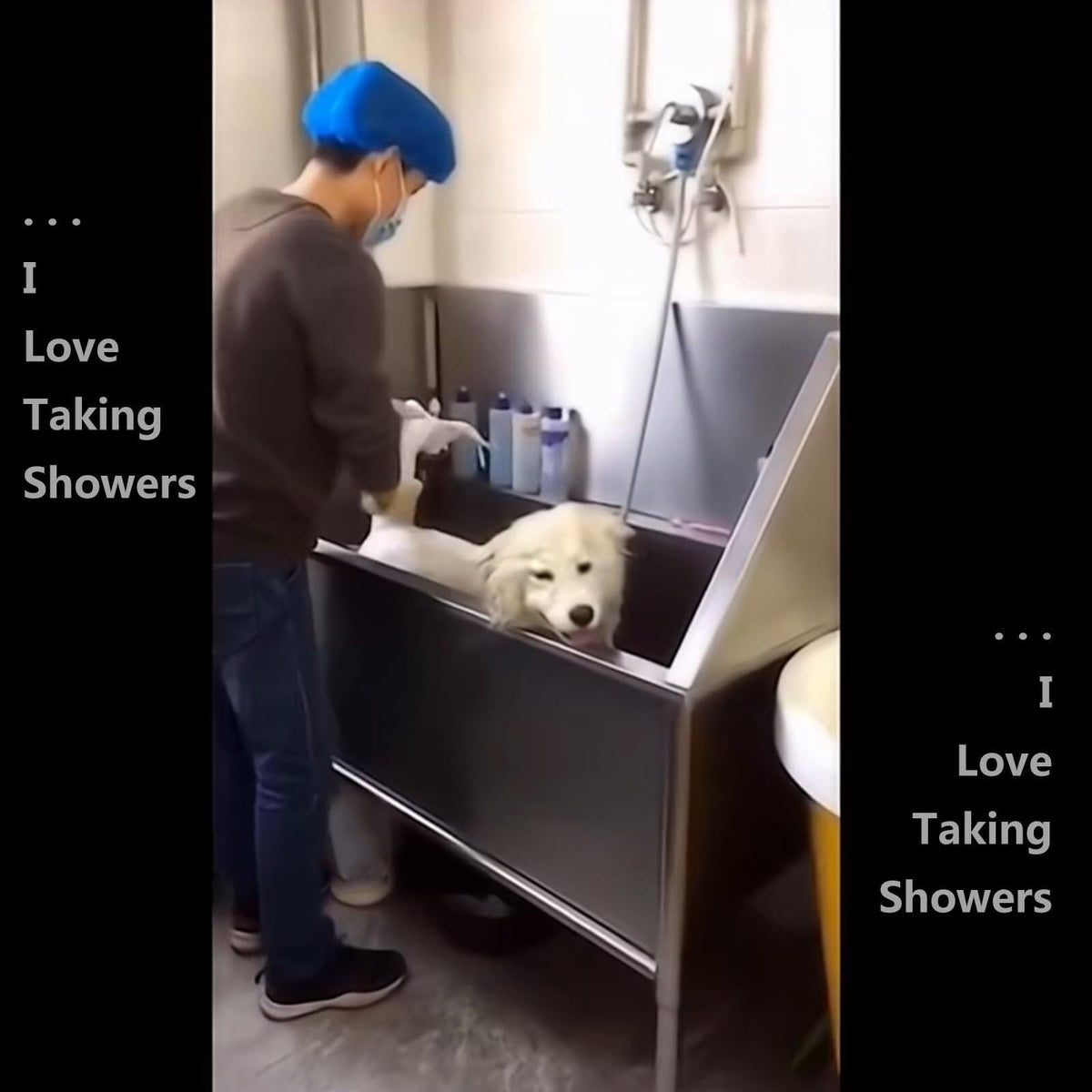 Stainless Steel Pet Grooming Bath Tub Q67375