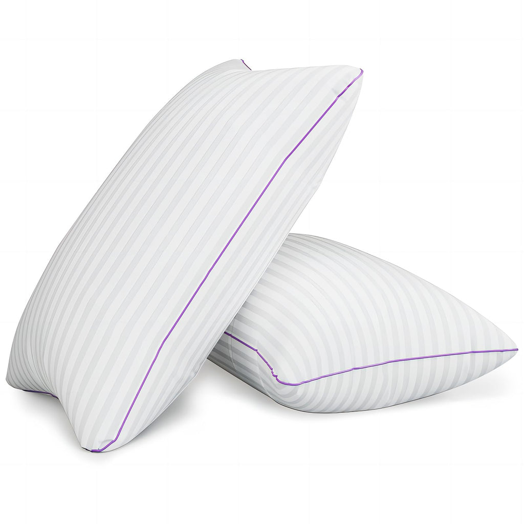 King Size Down Alternative Pillows Set of 2 S591