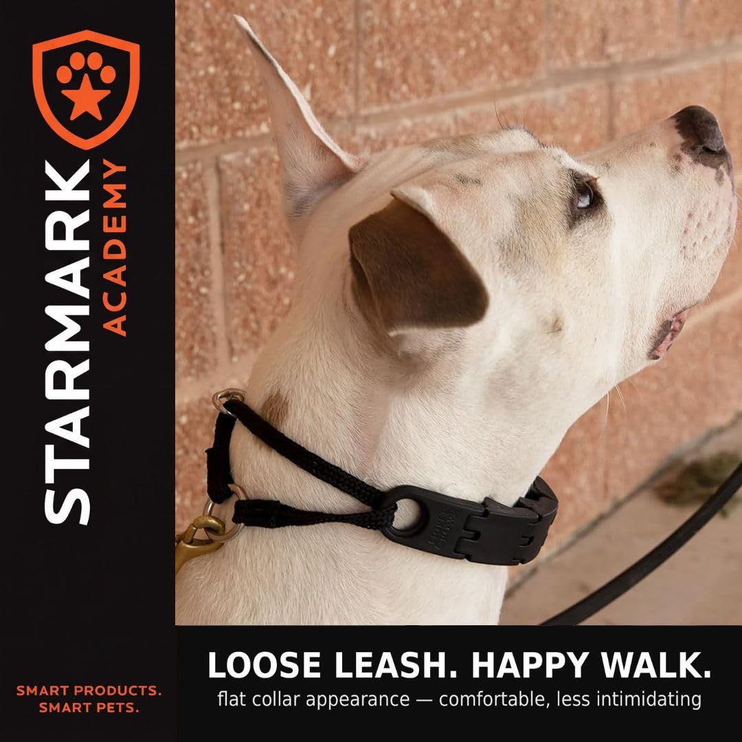 Large No-Pull Dog Collar Q8225