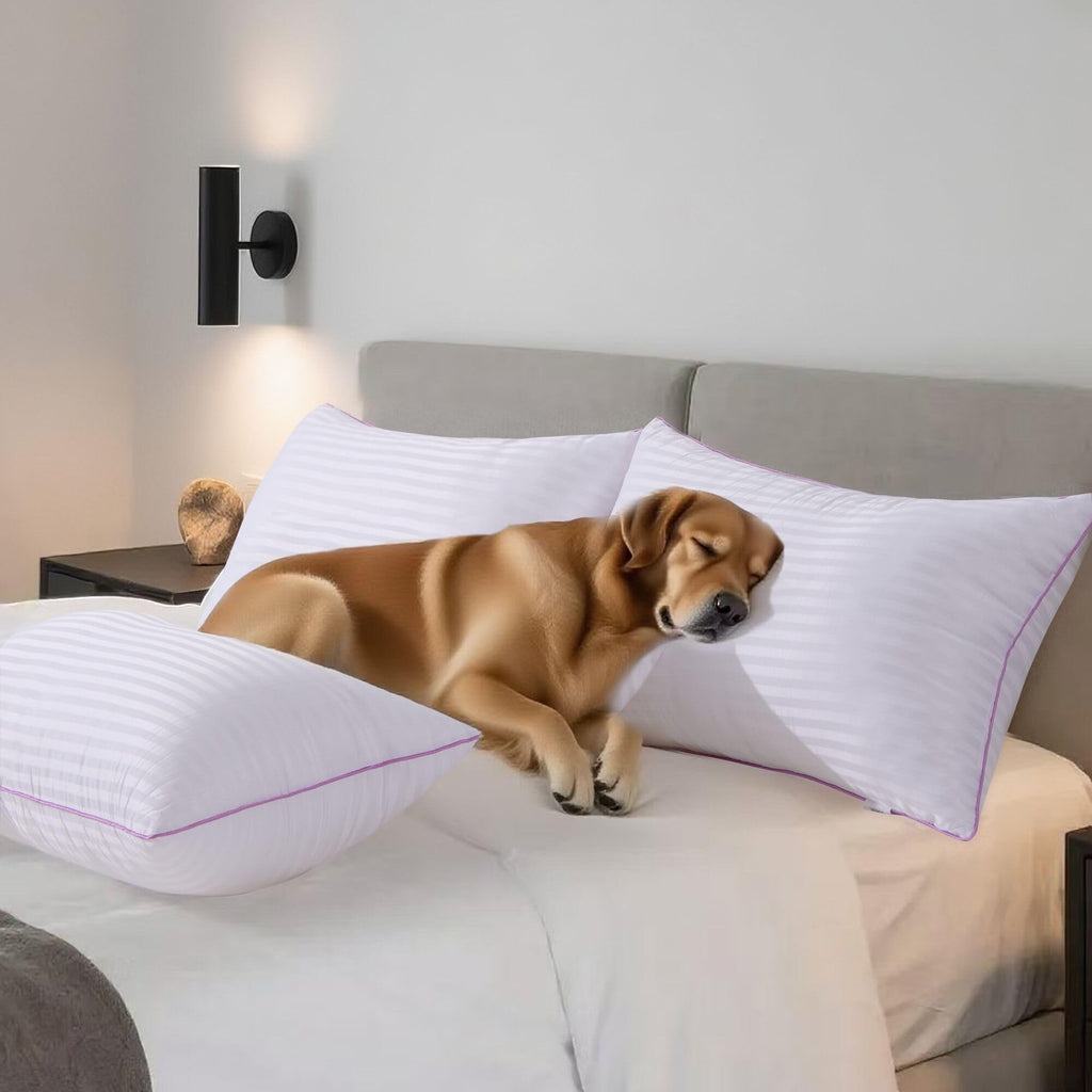 King Size Down Alternative Pillows Set of 2 S591