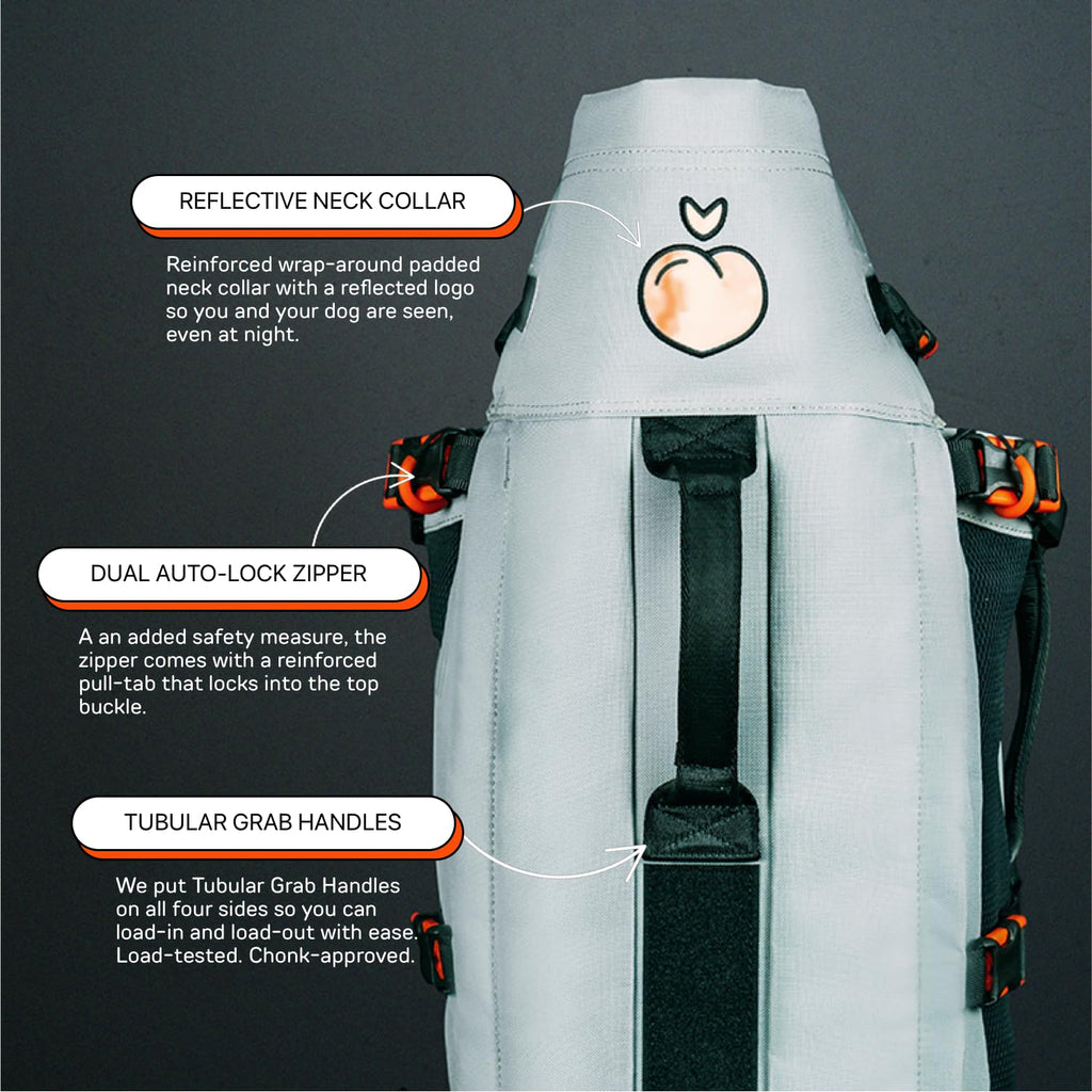 Dog Backpack Carrier J1380