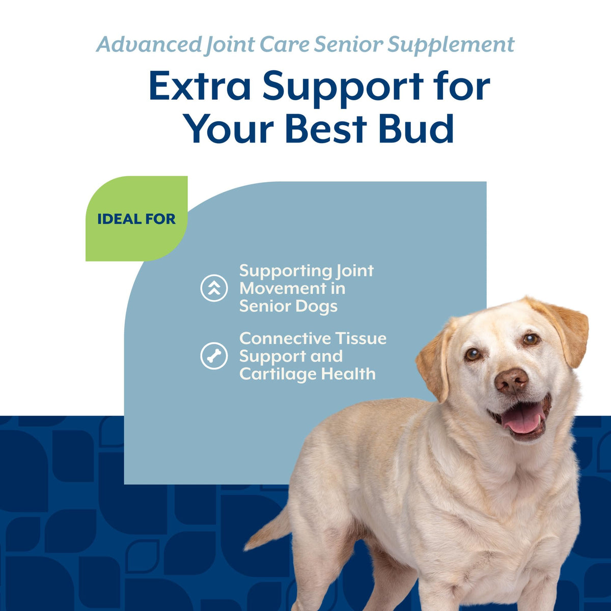 Senior Advanced Joint Health Dog Supplement 120 Ct D2249