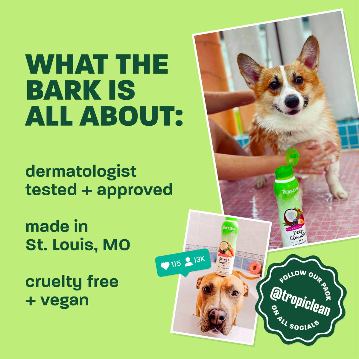 Oatmeal Dog Shampoo 20oz I586096