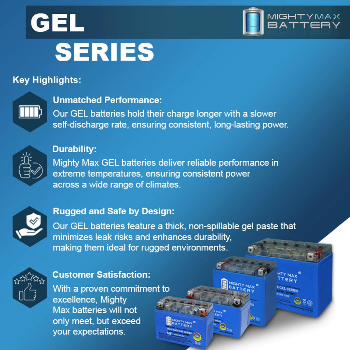 12V 11.2Ah Gel Battery V954748