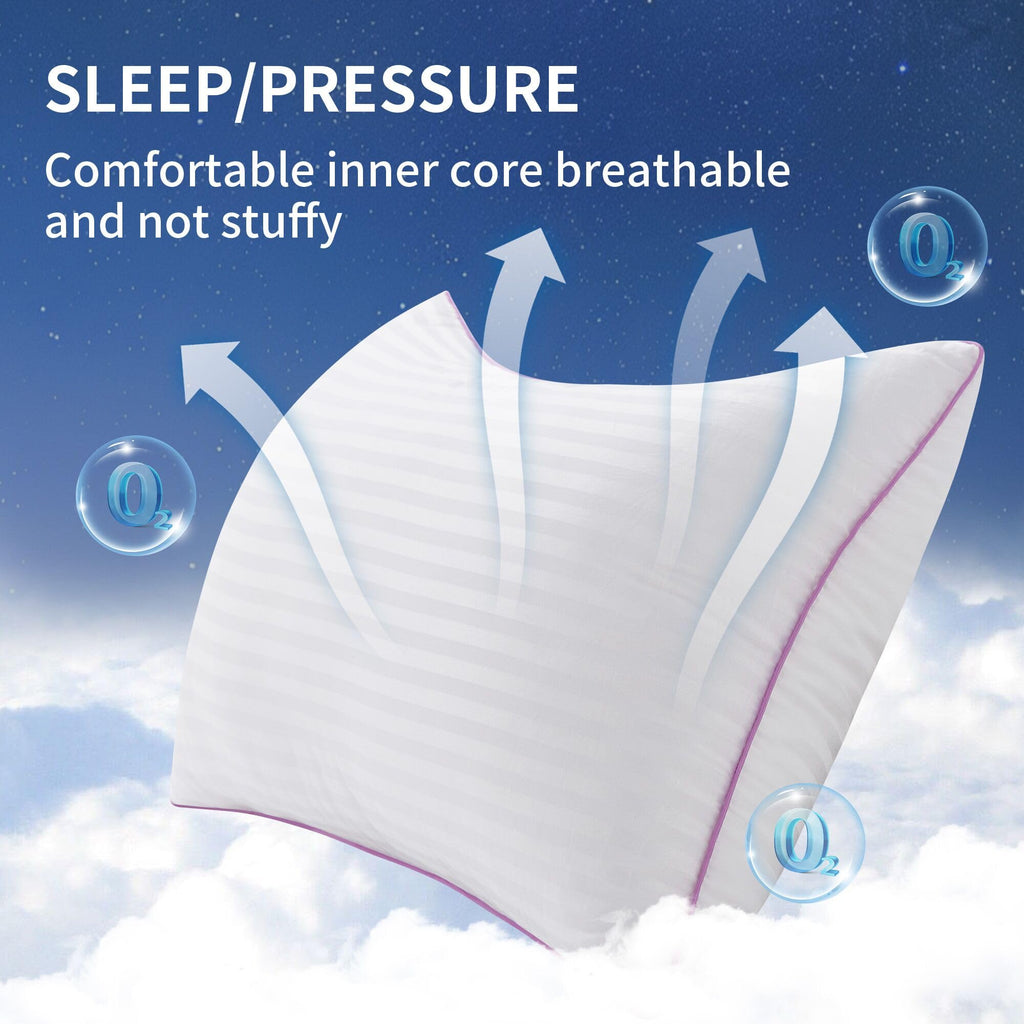 King Size Down Alternative Pillows Set of 2 S591