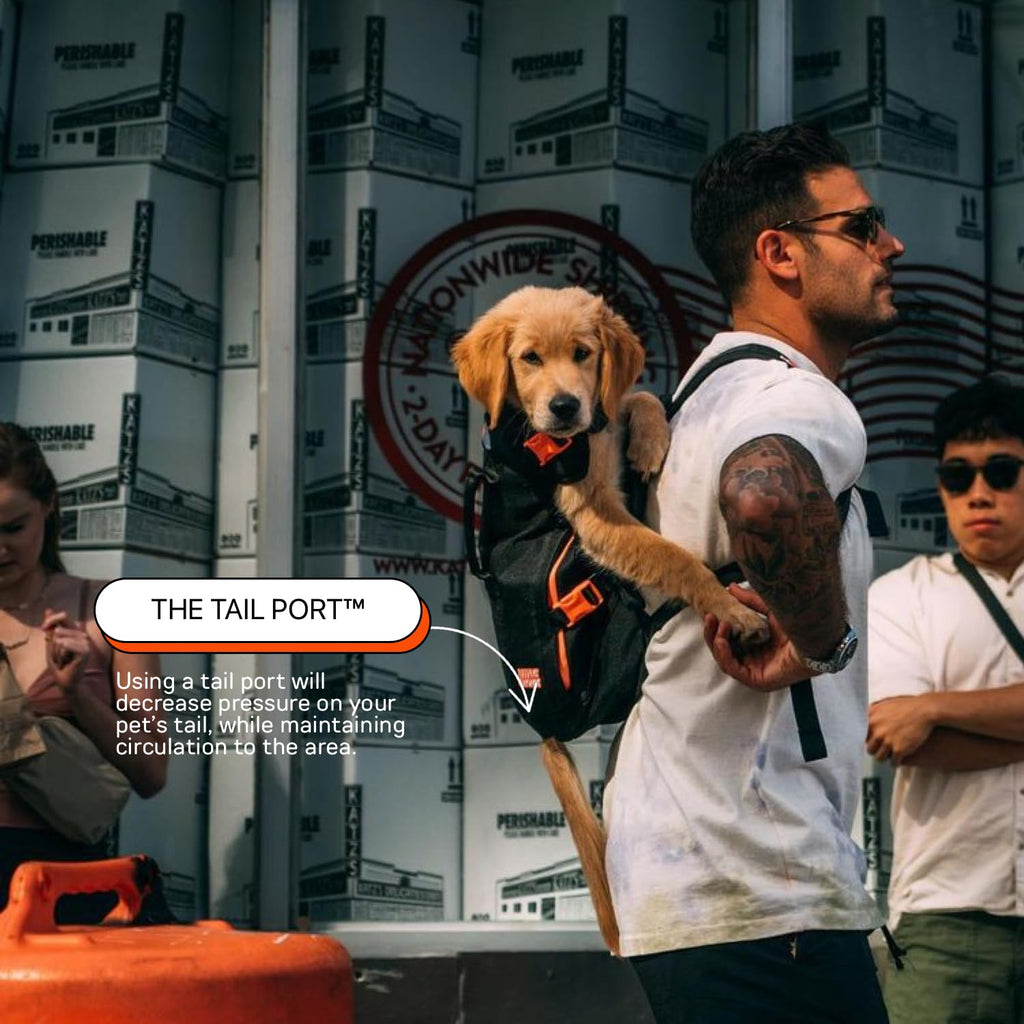 Dog Backpack Carrier J1380