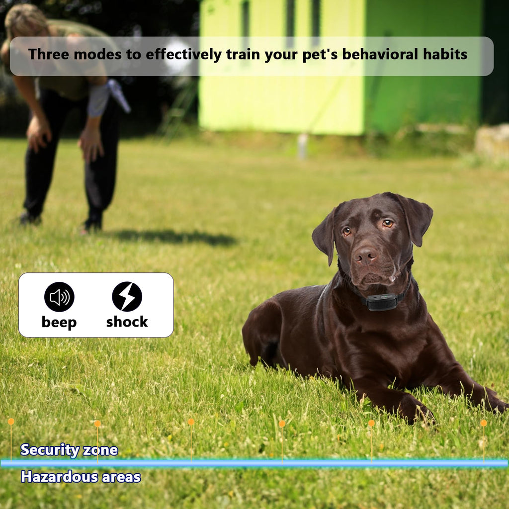 In-Ground Electric Dog Fence System with 2 Collars O119
