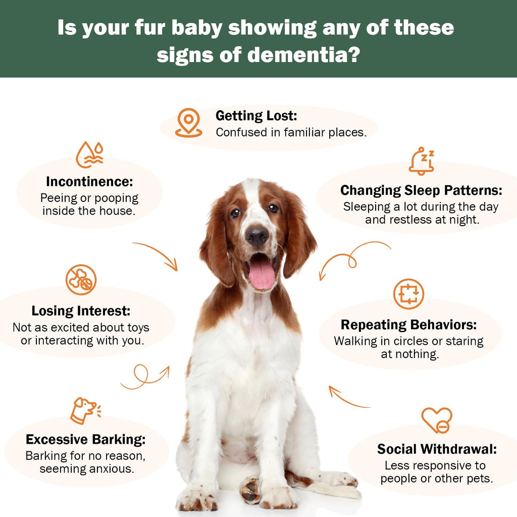 Dog Supplements R512951