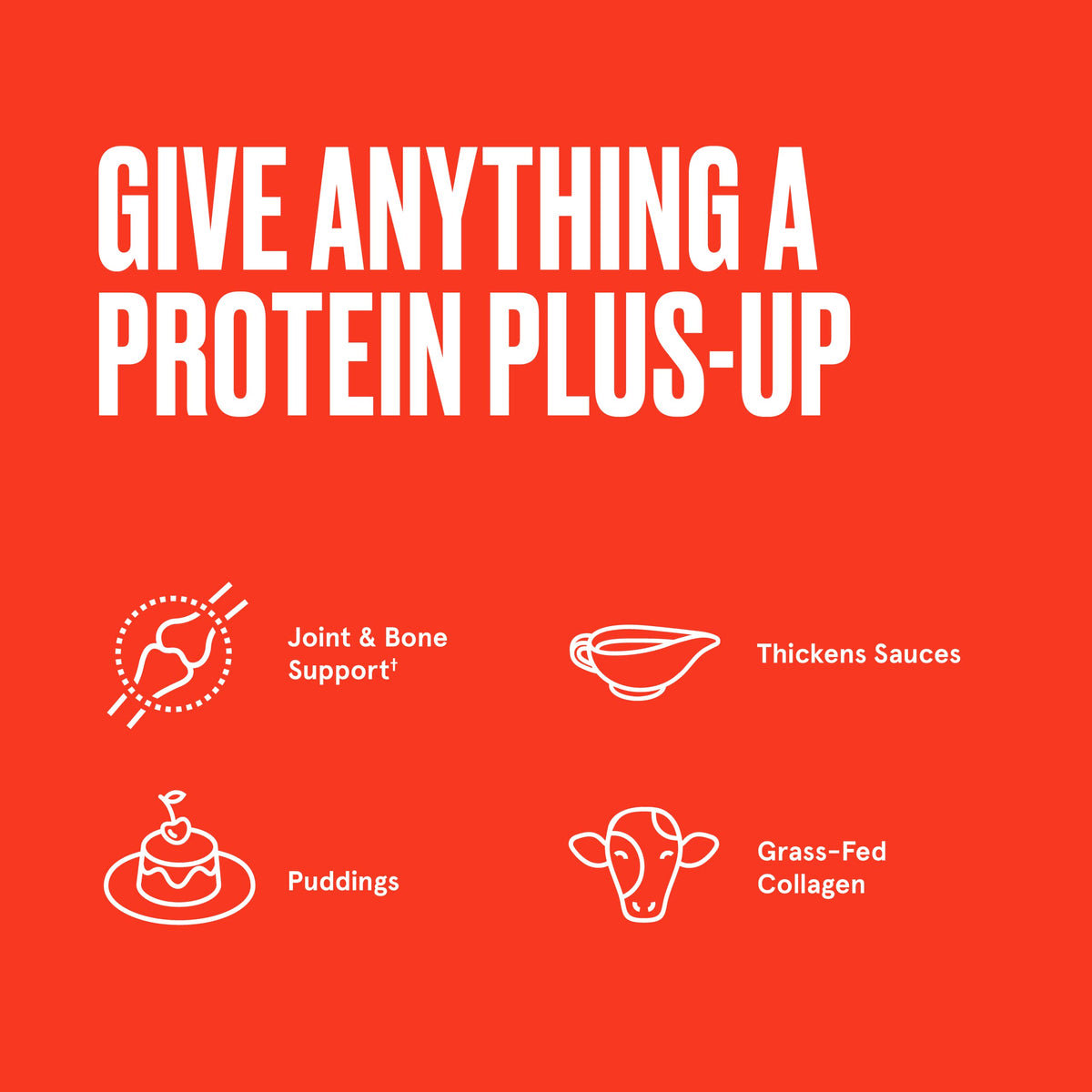 Gelatin with Collagen Protein 16 Ounces E80687