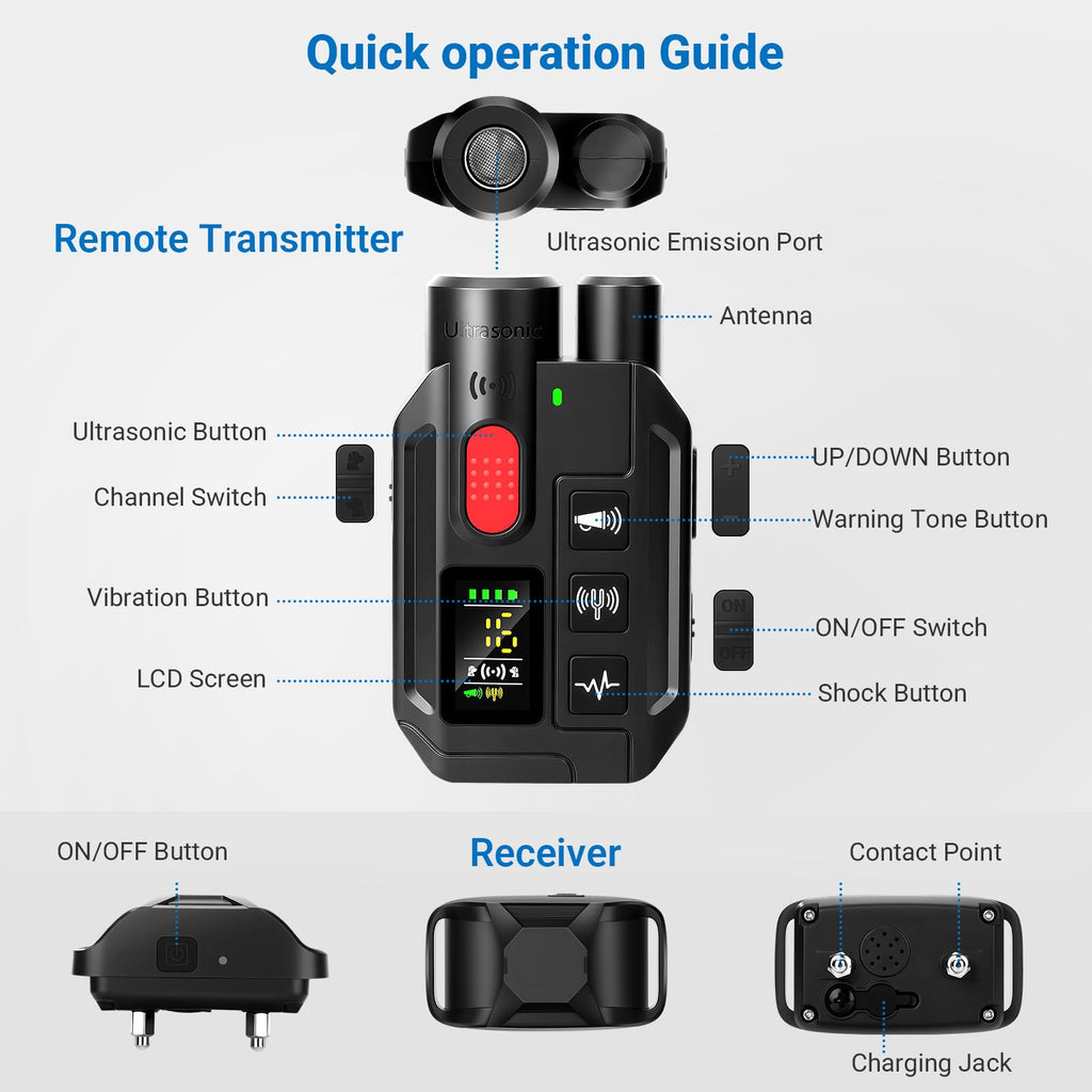 IP67 Waterproof Dog Training Collar with Remote Control B8203
