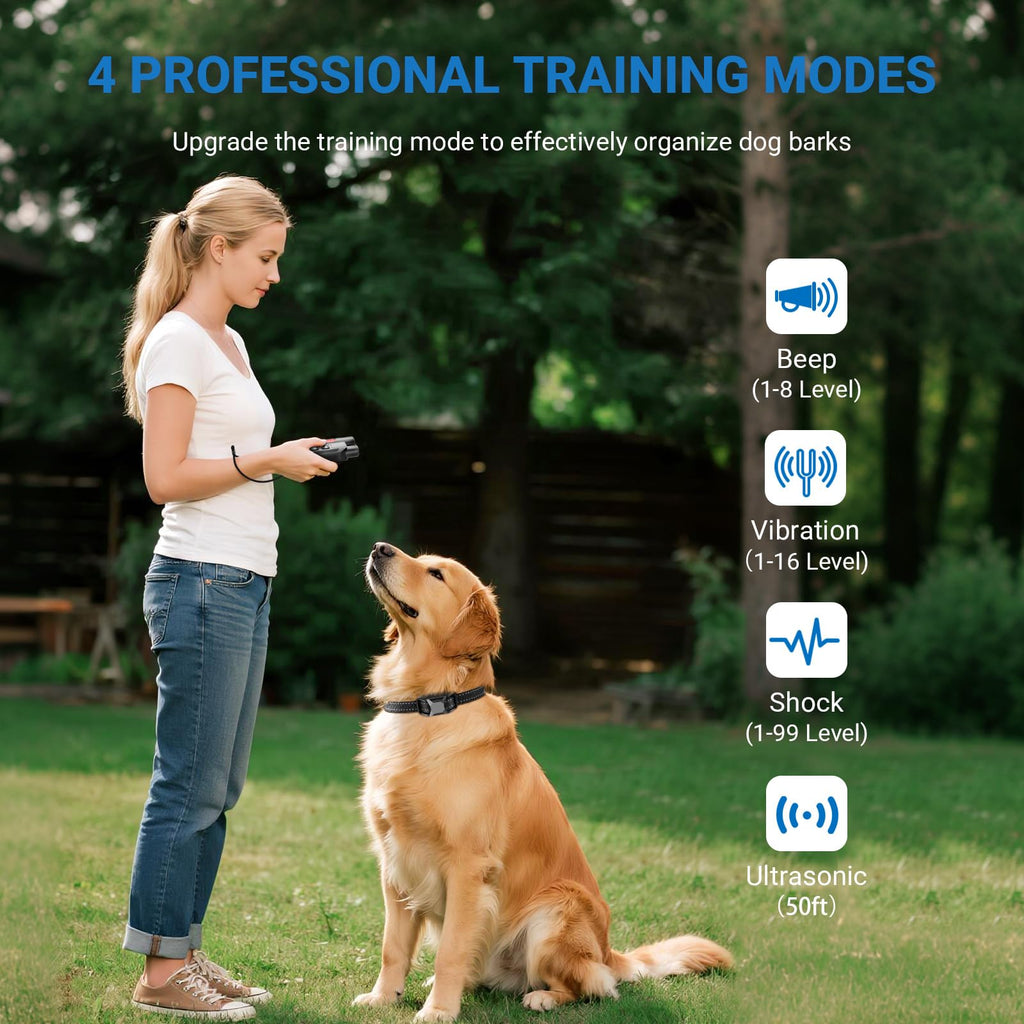 IP67 Waterproof Dog Training Collar with Remote Control B8203