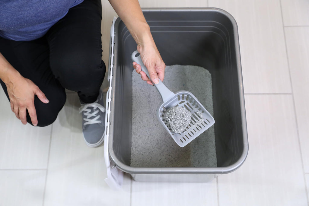 Enclosed Cat Litter Box with Hinged Lid Z645275