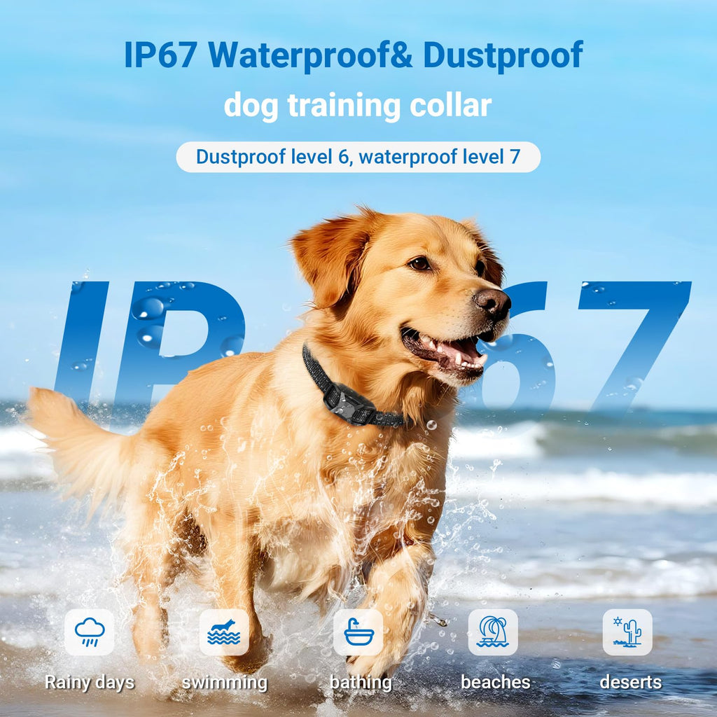 IP67 Waterproof Dog Training Collar with Remote Control B8203