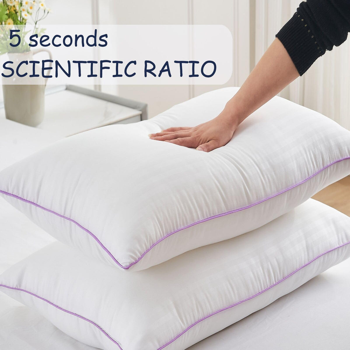 King Size Down Alternative Pillows Set of 2 S591