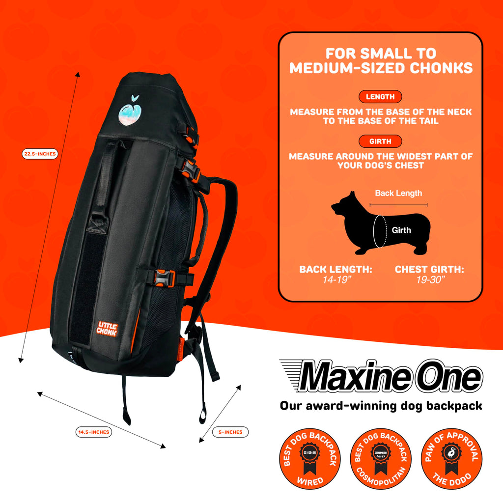 Dog Backpack Carrier J1380
