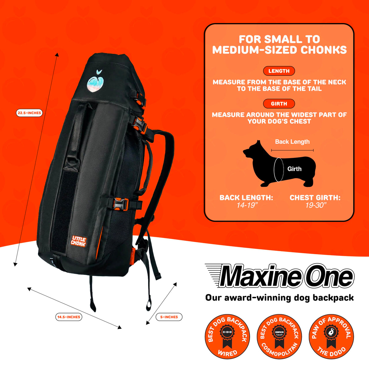 Dog Backpack Carrier J1380