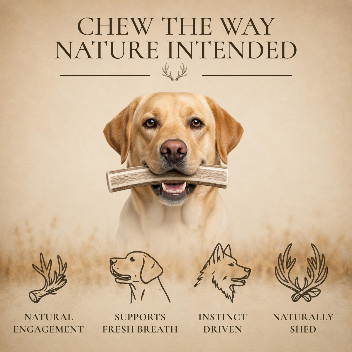 Split Elk Antler for Large Dogs, 2 Pack A223
