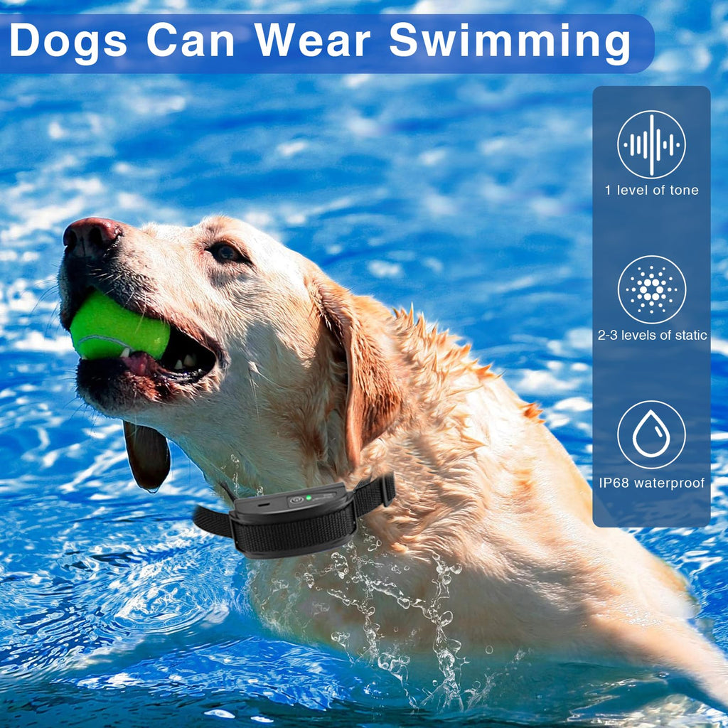 In-Ground Electric Dog Fence System with 2 Collars O119