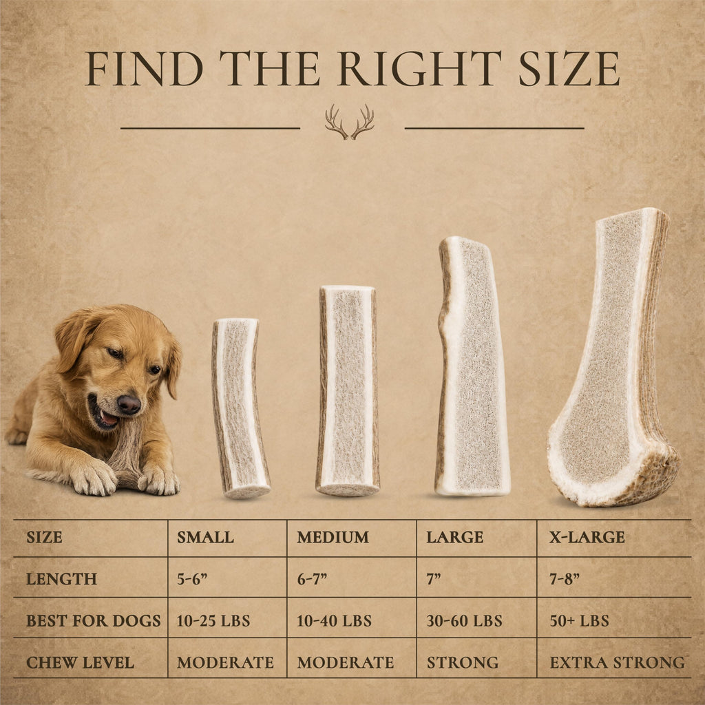 Split Elk Antler for Large Dogs, 2 Pack A223