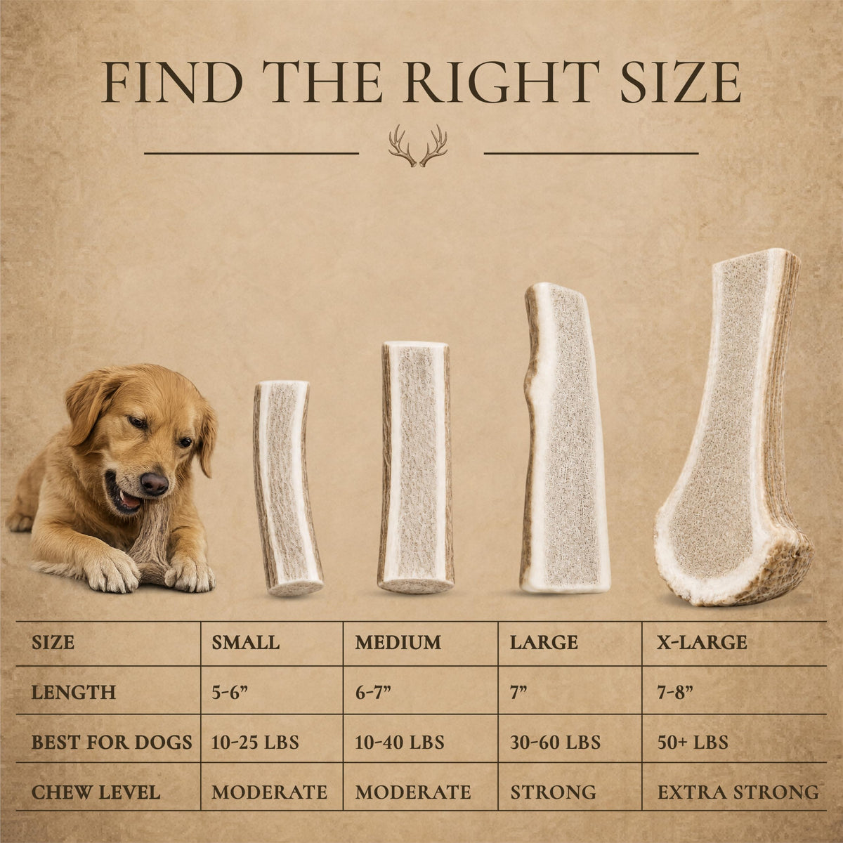 Split Elk Antler for Large Dogs, 2 Pack A223