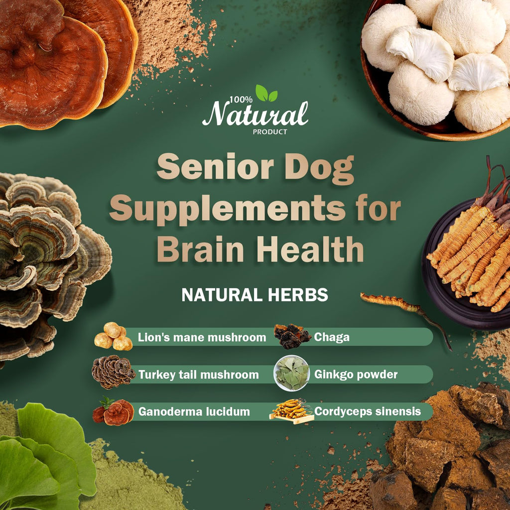 Dog Supplements R512951
