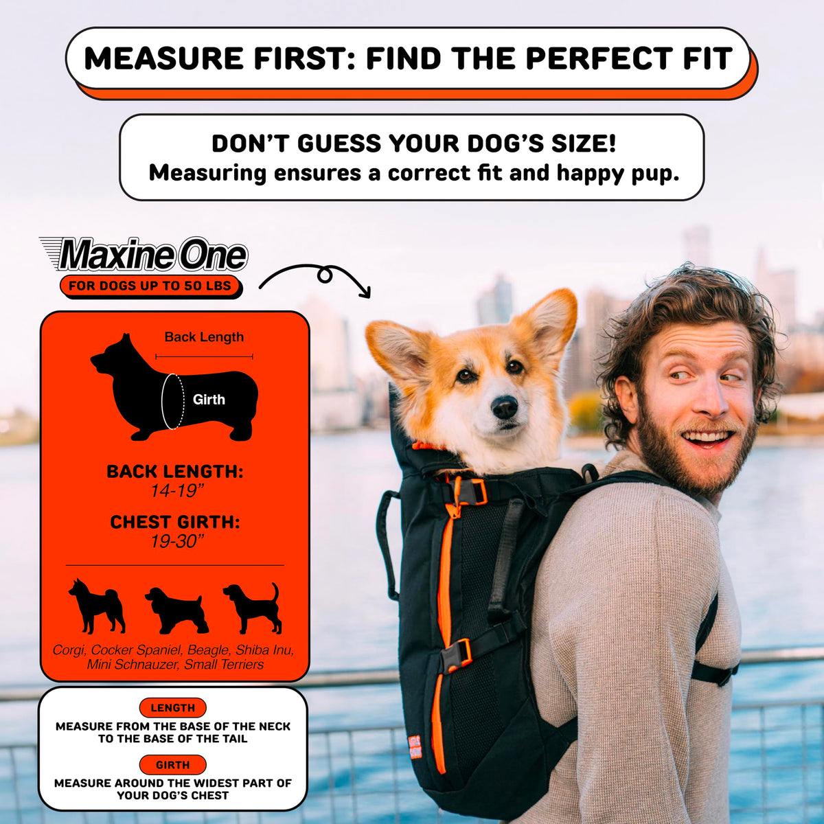 Dog Backpack Carrier J1380