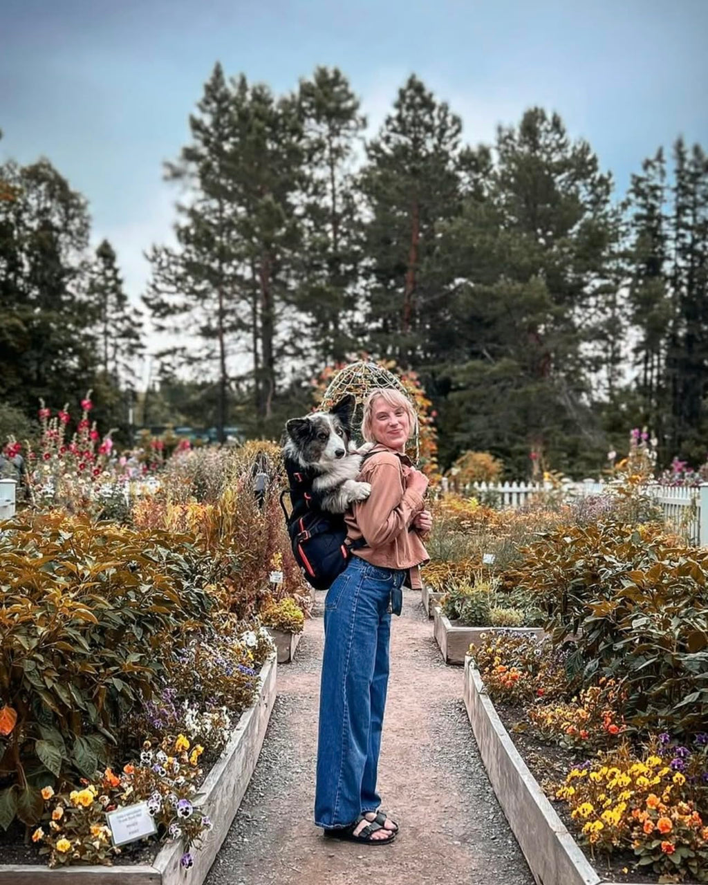Dog Backpack Carrier J1380