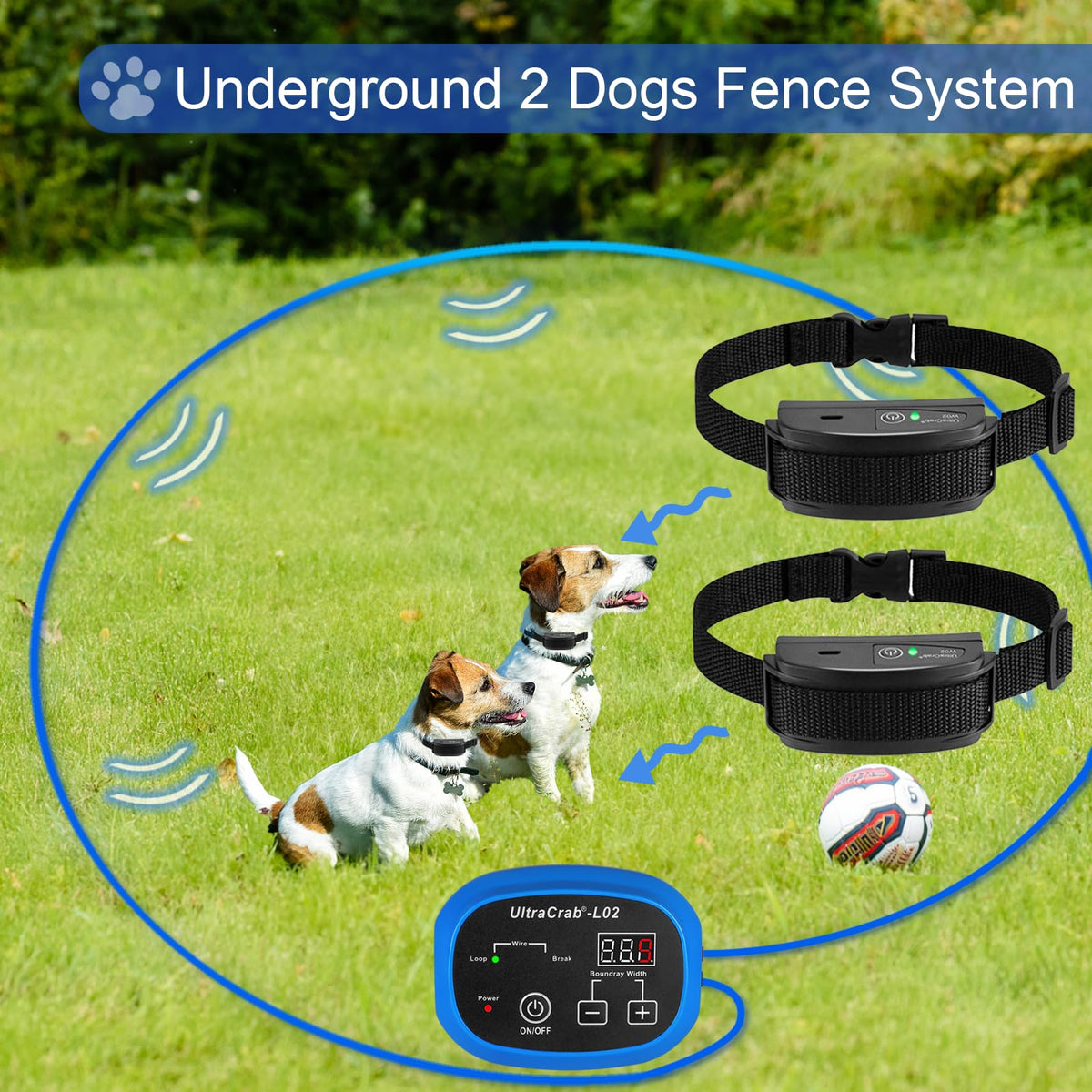 In-Ground Electric Dog Fence System with 2 Collars O119