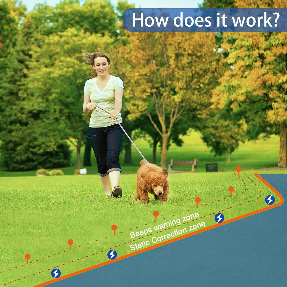 In-Ground Electric Dog Fence System with 2 Collars O119
